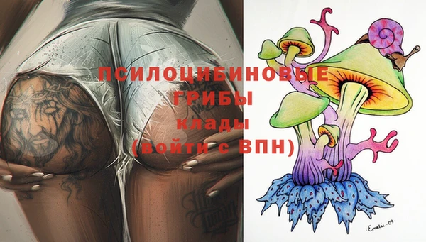 бутират Белокуриха