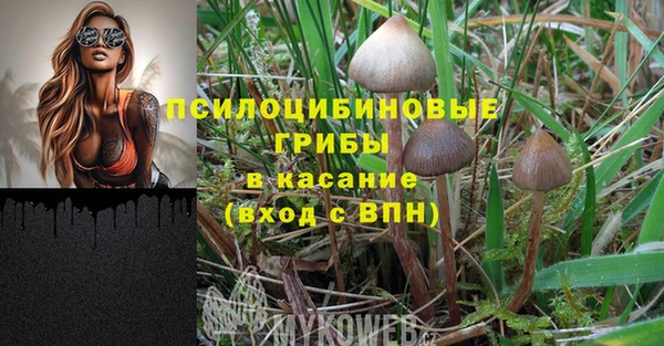 амф Беломорск