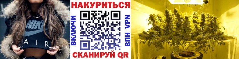 Каннабис ГИДРОПОН  Купить  Олёкминск 